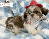 processed/3260719a-516b-43ca-a840-fda6fb5abd39/facility/a428c5d2-eb0f-4ba4-8353-de0e8e8e0728