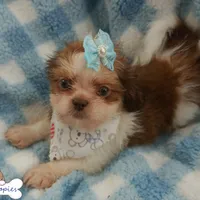 processed/3260719a-516b-43ca-a840-fda6fb5abd39/facility/b0a8329f-a540-4466-aaee-fe219263d8ef