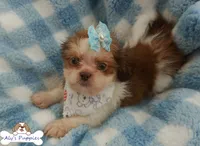 processed/3260719a-516b-43ca-a840-fda6fb5abd39/facility/b0a8329f-a540-4466-aaee-fe219263d8ef