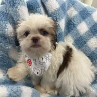 processed/3260719a-516b-43ca-a840-fda6fb5abd39/facility/b23f907f-7c66-41e7-b82c-a3ac613fa2c8