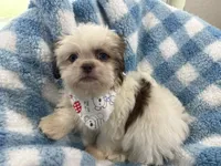 processed/3260719a-516b-43ca-a840-fda6fb5abd39/facility/b23f907f-7c66-41e7-b82c-a3ac613fa2c8