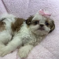 processed/3260719a-516b-43ca-a840-fda6fb5abd39/facility/dd37b6e3-957e-417e-8712-5b0c361d2adf