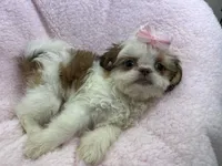 processed/3260719a-516b-43ca-a840-fda6fb5abd39/facility/dd37b6e3-957e-417e-8712-5b0c361d2adf