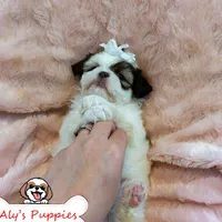 processed/3260719a-516b-43ca-a840-fda6fb5abd39/facility/e58d6f57-67e5-4fc1-bc88-163eb7d6200a