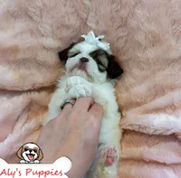 processed/3260719a-516b-43ca-a840-fda6fb5abd39/facility/e58d6f57-67e5-4fc1-bc88-163eb7d6200a