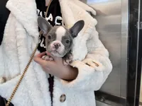 processed/32630cfb-4ca6-4d51-a88b-f9be0b2bc681/listing/82b38bab-435d-45cc-bc71-d61e793484dd/14f53c17-2934-4496-a71f-09eedecae62d