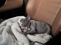 processed/32630cfb-4ca6-4d51-a88b-f9be0b2bc681/listing/82b38bab-435d-45cc-bc71-d61e793484dd/4474f996-7ea1-42be-9278-f04076a6eaae