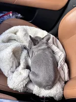 processed/32630cfb-4ca6-4d51-a88b-f9be0b2bc681/listing/82b38bab-435d-45cc-bc71-d61e793484dd/7653a45f-82d6-41ee-b667-a14125df9df9