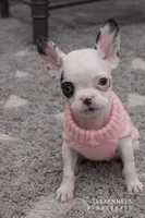 processed/32630cfb-4ca6-4d51-a88b-f9be0b2bc681/listing/f583fd85-4b28-46c1-872b-679d337a605c/31f4f525-21ac-497d-a753-e7f98ec61f7d