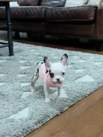 processed/32630cfb-4ca6-4d51-a88b-f9be0b2bc681/listing/f583fd85-4b28-46c1-872b-679d337a605c/80c7625c-f7a5-4629-96e6-1225012d6bc8