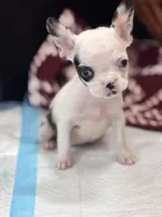 processed/32630cfb-4ca6-4d51-a88b-f9be0b2bc681/listing/f583fd85-4b28-46c1-872b-679d337a605c/a76afd9e-d827-443b-a86e-3d26c8838fbb