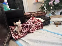 processed/32630cfb-4ca6-4d51-a88b-f9be0b2bc681/listing/f583fd85-4b28-46c1-872b-679d337a605c/be58cbe2-b05d-4aad-b5a5-415cc765afeb