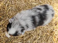 processed/326e3359-5522-48e2-a0b4-4ec1365465a3/listing/098f3d98-29ac-4444-991e-662e0f734329/3d4d20bb-7e16-4598-a0ba-353af137b8b5