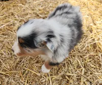 processed/326e3359-5522-48e2-a0b4-4ec1365465a3/listing/098f3d98-29ac-4444-991e-662e0f734329/4ee7ca10-679d-4cb9-a70c-dfd2b631cf3a