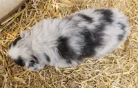 processed/326e3359-5522-48e2-a0b4-4ec1365465a3/listing/098f3d98-29ac-4444-991e-662e0f734329/65a4521f-80b4-423a-99cf-2468a1d74bd8