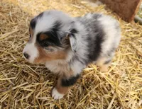 processed/326e3359-5522-48e2-a0b4-4ec1365465a3/listing/098f3d98-29ac-4444-991e-662e0f734329/7421e57d-a3aa-4a01-b756-3c0c64bb83b4