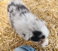 processed/326e3359-5522-48e2-a0b4-4ec1365465a3/listing/098f3d98-29ac-4444-991e-662e0f734329/ac00b724-455c-4067-9f4f-1d101523c23a