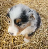 processed/326e3359-5522-48e2-a0b4-4ec1365465a3/listing/098f3d98-29ac-4444-991e-662e0f734329/b01298bc-9972-41d7-87c5-ed58da1609b5