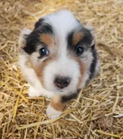 processed/326e3359-5522-48e2-a0b4-4ec1365465a3/listing/098f3d98-29ac-4444-991e-662e0f734329/c98beab1-36e4-42db-bdbd-b5987d7a789f