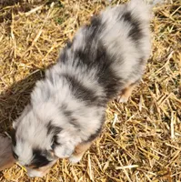 processed/326e3359-5522-48e2-a0b4-4ec1365465a3/listing/098f3d98-29ac-4444-991e-662e0f734329/ca0b462a-afd0-40e9-80d9-17312a3e5bc9