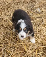 processed/326e3359-5522-48e2-a0b4-4ec1365465a3/listing/603fb04b-a075-42b2-97d4-efc53d822377/3c21d8fe-8530-4c92-9d5a-3c37a3d90040