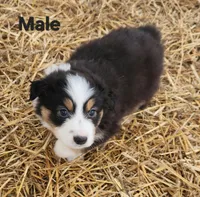 processed/326e3359-5522-48e2-a0b4-4ec1365465a3/listing/603fb04b-a075-42b2-97d4-efc53d822377/3df509c9-7cf6-4147-ba18-81ccbd85ec4b