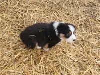 processed/326e3359-5522-48e2-a0b4-4ec1365465a3/listing/603fb04b-a075-42b2-97d4-efc53d822377/b5d5ecb7-4615-42d5-8006-17954e5d80ca