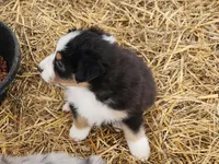 processed/326e3359-5522-48e2-a0b4-4ec1365465a3/listing/603fb04b-a075-42b2-97d4-efc53d822377/b92ef62b-6f0d-407e-b78f-7be09f4e19d6