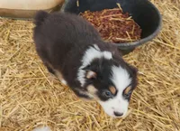 processed/326e3359-5522-48e2-a0b4-4ec1365465a3/listing/603fb04b-a075-42b2-97d4-efc53d822377/b9ae2183-9da5-4cb0-8b47-7022e75cd975