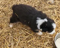 processed/326e3359-5522-48e2-a0b4-4ec1365465a3/listing/603fb04b-a075-42b2-97d4-efc53d822377/e386b052-8590-41a4-83eb-08fc0316eb90