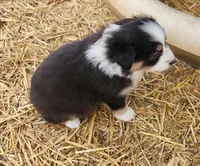 processed/326e3359-5522-48e2-a0b4-4ec1365465a3/listing/603fb04b-a075-42b2-97d4-efc53d822377/fc516b39-ef7f-4745-b6d5-2a63c1486f0b