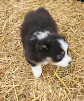 processed/326e3359-5522-48e2-a0b4-4ec1365465a3/listing/76c90d1d-1a04-4ad7-b41c-5352dc7136de/102d8ed0-40d5-40d3-8371-409aa41ff52c