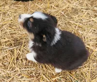 processed/326e3359-5522-48e2-a0b4-4ec1365465a3/listing/76c90d1d-1a04-4ad7-b41c-5352dc7136de/1914bb51-1879-4821-9805-1a5c06db4300