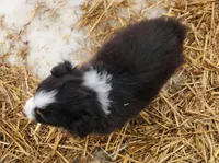 processed/326e3359-5522-48e2-a0b4-4ec1365465a3/listing/76c90d1d-1a04-4ad7-b41c-5352dc7136de/33e394e5-91d8-4688-bb08-77421ae7cdb1