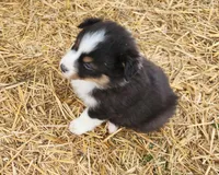 processed/326e3359-5522-48e2-a0b4-4ec1365465a3/listing/76c90d1d-1a04-4ad7-b41c-5352dc7136de/3b16e661-aa01-4ce2-8d9a-1dd13526ca5c