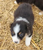 processed/326e3359-5522-48e2-a0b4-4ec1365465a3/listing/76c90d1d-1a04-4ad7-b41c-5352dc7136de/6485e91d-c7da-46c7-9ee4-da50a06fc996