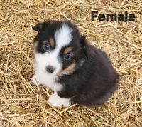 processed/326e3359-5522-48e2-a0b4-4ec1365465a3/listing/76c90d1d-1a04-4ad7-b41c-5352dc7136de/95b765e2-43b5-4b41-b28a-a3af9f54d066