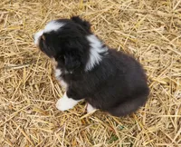 processed/326e3359-5522-48e2-a0b4-4ec1365465a3/listing/76c90d1d-1a04-4ad7-b41c-5352dc7136de/c4aa3abf-f0bb-47eb-a0b8-1cd7cc1de4b9