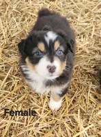 processed/326e3359-5522-48e2-a0b4-4ec1365465a3/listing/b37da0c5-bce6-41dd-bb7d-be0525e6a556/05a80134-0cf5-4310-bef5-b940eb4d36b6