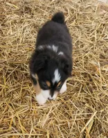 processed/326e3359-5522-48e2-a0b4-4ec1365465a3/listing/b37da0c5-bce6-41dd-bb7d-be0525e6a556/1220c98a-4e77-4bc7-a5a0-d1810637404e