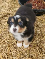 processed/326e3359-5522-48e2-a0b4-4ec1365465a3/listing/b37da0c5-bce6-41dd-bb7d-be0525e6a556/17ceeee4-9346-4658-b6d6-04f34de777f1