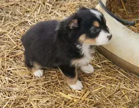 processed/326e3359-5522-48e2-a0b4-4ec1365465a3/listing/b37da0c5-bce6-41dd-bb7d-be0525e6a556/18c93071-8143-4daf-b4e5-27fc6c0c400f