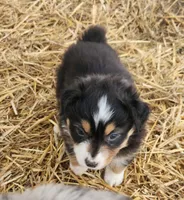 processed/326e3359-5522-48e2-a0b4-4ec1365465a3/listing/b37da0c5-bce6-41dd-bb7d-be0525e6a556/adf88f24-b0ab-4ed0-b387-53d0292acd3a