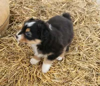 processed/326e3359-5522-48e2-a0b4-4ec1365465a3/listing/b37da0c5-bce6-41dd-bb7d-be0525e6a556/b9686fce-c498-4091-8e76-d10e216d752d