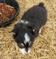 processed/326e3359-5522-48e2-a0b4-4ec1365465a3/listing/b37da0c5-bce6-41dd-bb7d-be0525e6a556/eb9b6f14-752d-431d-b11a-a49edf4b9e2a