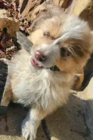 processed/326e7775-cc07-451d-8374-7797cb622728/listing/736c6be5-dabf-48d2-a27b-670259d12c71/2ad7ec94-8b11-43ef-bf86-9bed82be4dad