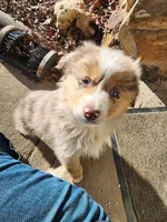 processed/326e7775-cc07-451d-8374-7797cb622728/listing/736c6be5-dabf-48d2-a27b-670259d12c71/68c70701-ed87-411d-84ea-6fbd4feaffcc