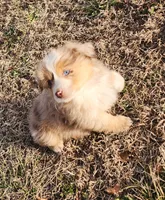 processed/326e7775-cc07-451d-8374-7797cb622728/listing/736c6be5-dabf-48d2-a27b-670259d12c71/6ee83fc0-c492-4ff9-8d5d-c9f83cdae750