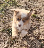 processed/326e7775-cc07-451d-8374-7797cb622728/listing/736c6be5-dabf-48d2-a27b-670259d12c71/7049eb7d-986b-4415-a2a8-95557676c428