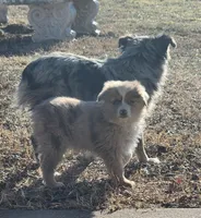 processed/326e7775-cc07-451d-8374-7797cb622728/listing/736c6be5-dabf-48d2-a27b-670259d12c71/77f2a23e-5b90-4c81-a66d-44a25f200b3d